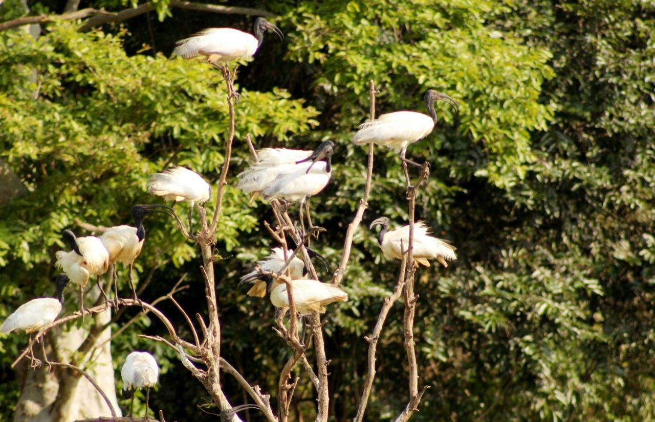 Wasgamu Safari Lodge Wasgamuwa ภายนอก รูปภาพ