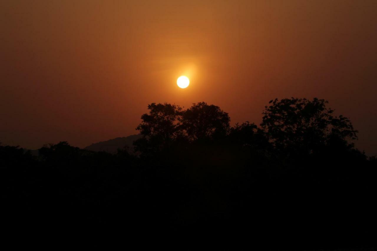 Wasgamu Safari Lodge Wasgamuwa ภายนอก รูปภาพ
