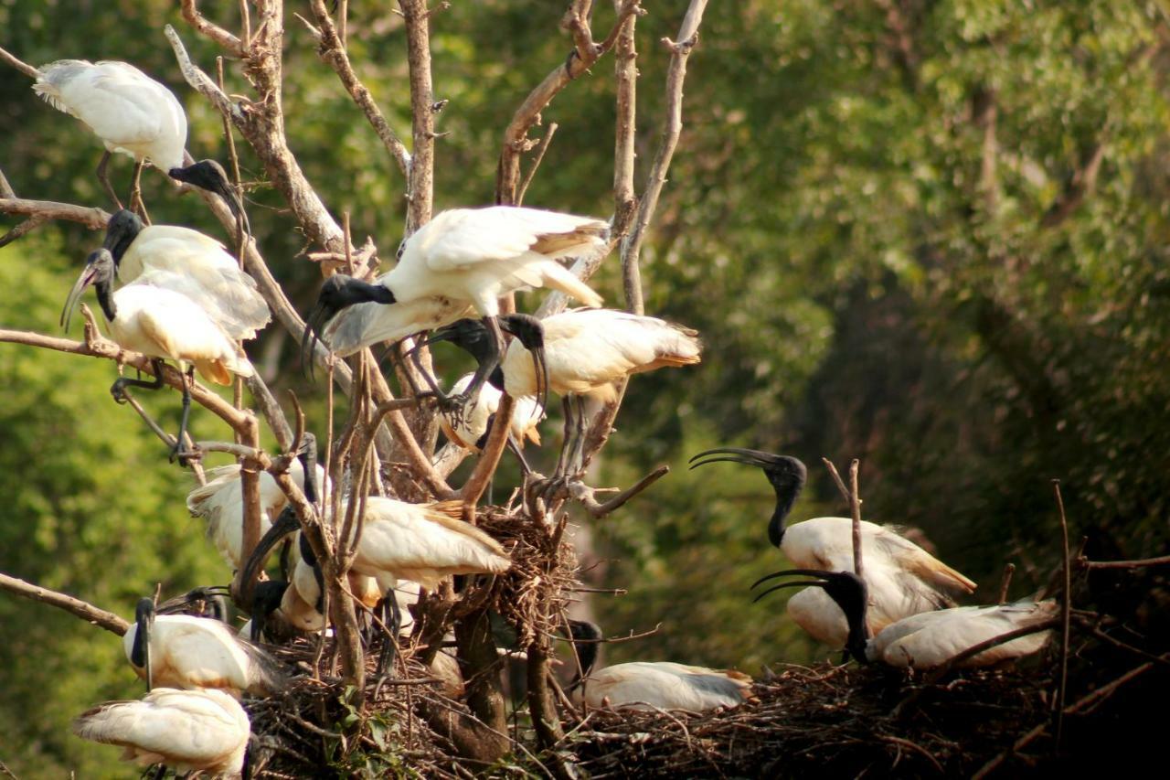 Wasgamu Safari Lodge Wasgamuwa ภายนอก รูปภาพ