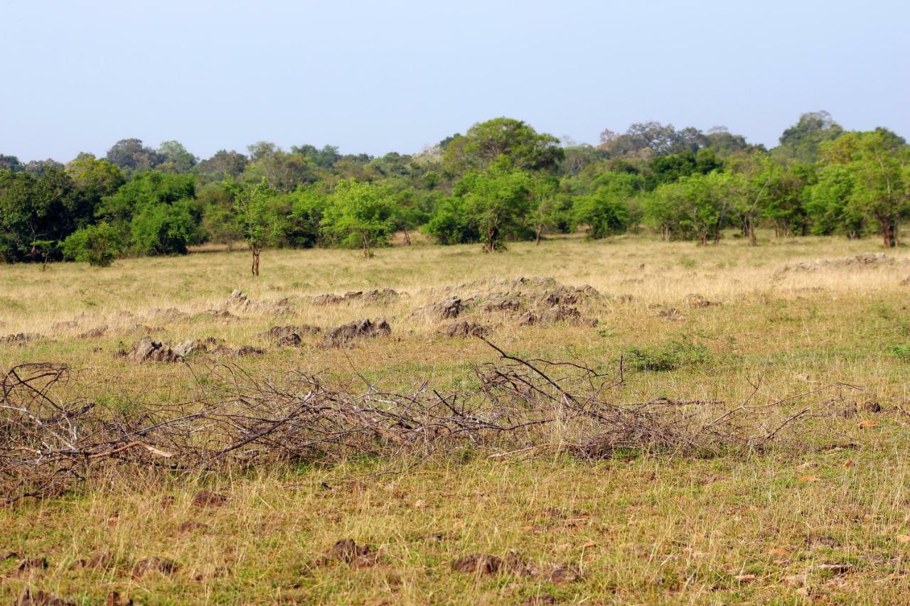 Wasgamu Safari Lodge Wasgamuwa ภายนอก รูปภาพ